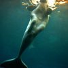 A sellő valójában fehér delfin?