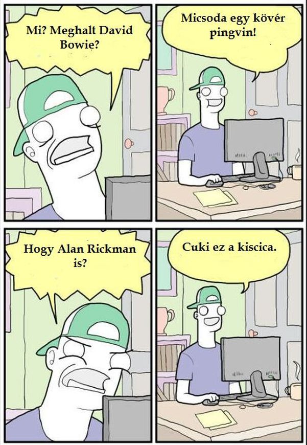 Gyászol az internet népe